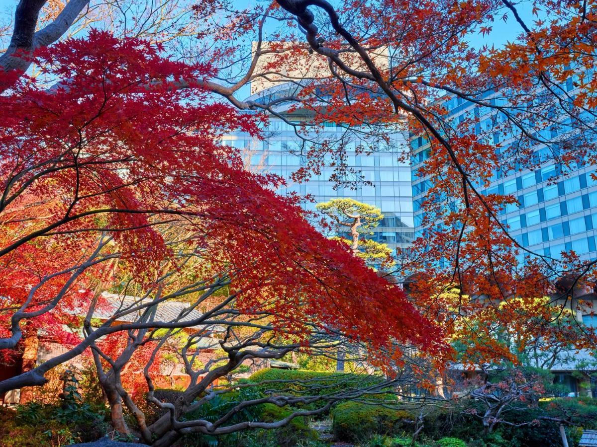 Hotel New Otani Tokyo The Main Exterior photo Autumn at the University of Tokyo